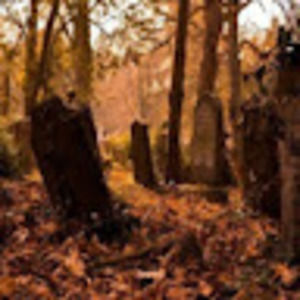 Meet your Posher, Leigha